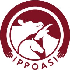 Logo Ippoasi jpg