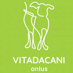 vdc logo